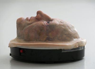 Aniara Omann, Final Incarnation, 2016. Courtesy the artist. Photo: Malcolm Cochrane