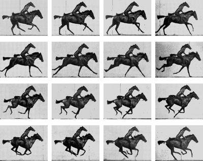 Kim Beom, Horse Riding Horse (After Eadweard Muybridge), 2008, 1 channel video, 24sec, video stills. Courtesy Kim Beom.