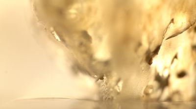 Courtesy Ursula Nistrup