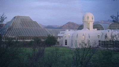 Still fra Urth af Ben Rivers, 2016