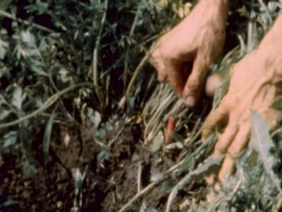 Still fra First Mark af Peter Nadin, Natsuko Uchino & Aimée Toledano, 2008