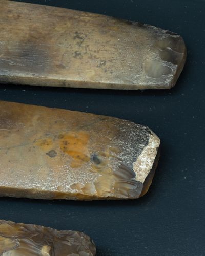 Courtesy Moesgaard Museum. Rikke Luther, Corruption – We Lost Control Again, Kunsthal Aarhus, 2019. Foto: Mikkel Kaldal