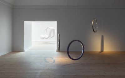 Helene Nymann, Ars Memoria – Memes For Imagination, Kunsthal Aarhus, 2019. Photo: Mikkel Kaldal