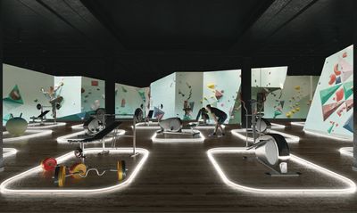 Visualization by Lucian Racovitan, 2019