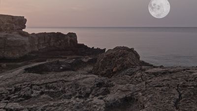 Still from Clay Theory, Amalie Smith, 2019