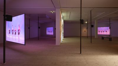 Hwayeon Nam, Abdominal Routes, Kunsthal Aarhus. Photo: Mikkel Kaldal