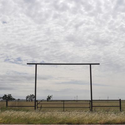 Siri Vilbøl & Peter Ole Pedersen, LAND, 2020