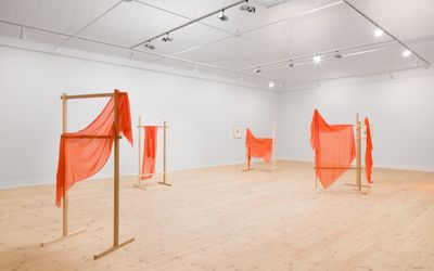 Louise Haugaard Jørgensen, Kapitel V af Den uvidende lærer, 2020. Foto: Mikkel Kaldal