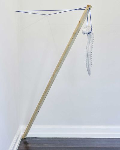 Billede: Amanda Brix Kolstrup, Ophængt fundament, 2022, Courtesy af kunstneren. Foto: Per Alban.