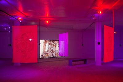 Image: Installation view, Diana Policarpo, Nets of Hyphae, Kunsthal Aarhus, 2023. Photo: Jacob Friis-Holm Nielsen.