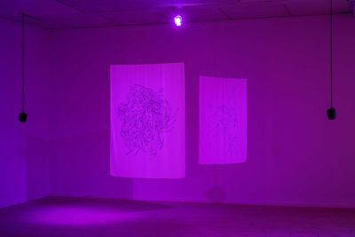 Image: Installation view, Diana Policarpo, Nets of Hyphae, Kunsthal Aarhus, 2023. Photo: Jacob Friis-Holm Nielsen.