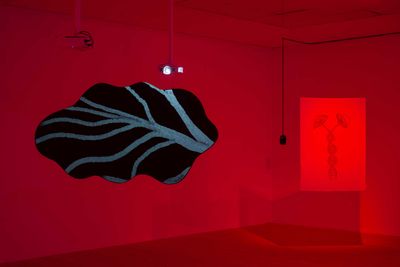 Image: Installation view, Diana Policarpo, Nets of Hyphae, Kunsthal Aarhus, 2023. Photo: Jacob Friis-Holm Nielsen.