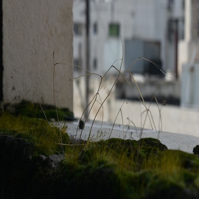 Image: Courtesy of Marie R.B. Odgaard.