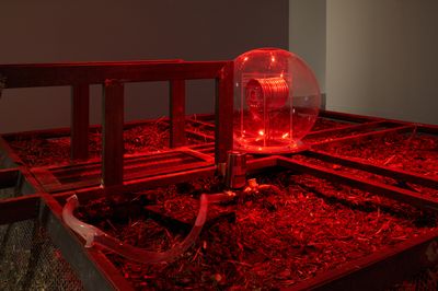 Billede: Oron Catts, Ionat Zurr & Devon Ward, Compostcubator 0.4, Kina, 2019.