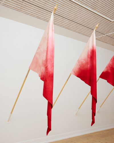 Billede: Nønne Mai Svalholm, Red Flags, Kunsthal Aarhus, 2024. Foto: Peter Ravnsborg og Nønne Mai Svalholm.