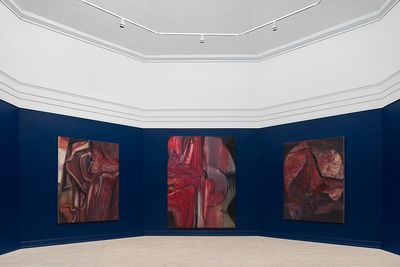 Billede: Installationsfoto, I am your Body: Chapter 2 – Flesh, Kunsthal Aarhus, 2024. Foto: Jacob Friis-Holm Nielsen.