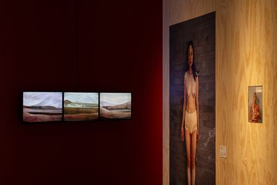 Billede: Installationsfoto, I am your Body: Chapter 2 – Flesh, Kunsthal Aarhus, 2024. Foto: Jacob Friis-Holm Nielsen.
