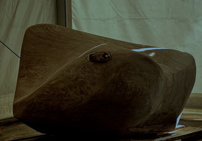 Billede: Ursula Nistrup, 2024, Venligst stillet til rådighed af kunstneren.