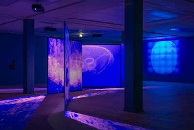 Billede: Installationsfoto, Marie Kølbæk Iversen, New Atlantics, Kunsthal Aarhus, 2025. Foto: Jacob Friis-Holm Nielsen.