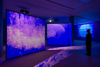 Image: Installation view, Marie Kølbæk Iversen, New Atlantics, Kunsthal Aarhus, 2025. Photo: Jacob Friis-Holm Nielsen.