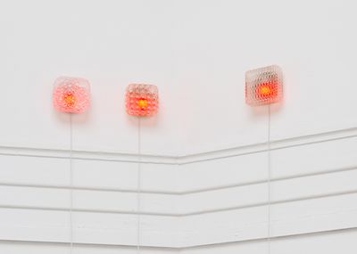 Billede: Installationsfoto, Tora Schultz, FILES, Kunsthal Aarhus, 2025. Foto: Jacob Friis-Holm Nielsen.