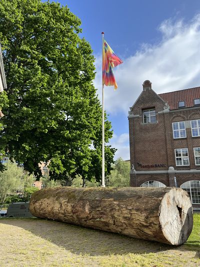 Billede: Jimmie Durham, Pagliaccio non son, 2011. Venligst stillet til rådighed af Martia Thereza Alves på vegne af the Estate of Jimmie Durham. Foto: Kunsthal Aarhus, 2025.