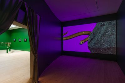 Billede: Installationsfoto, Bugs & Metamorphosis, Kunsthal Aarhus, 2025. Foto: Jacob Friis-Holm Nielsen.