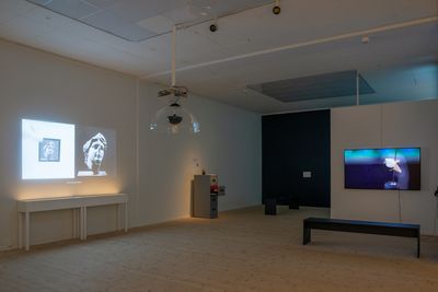 Image: Installation view, Bugs & Metamorphosis, Kunsthal Aarhus, 2025. Photo: Jacob Friis-Holm Nielsen.