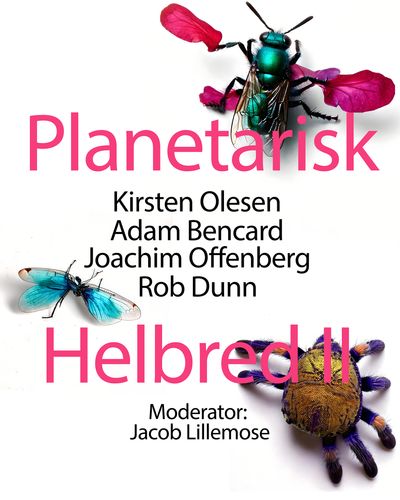 Graphic featuring works by Olle Essvik, AI insects, 2024. Courtesy of the artist.