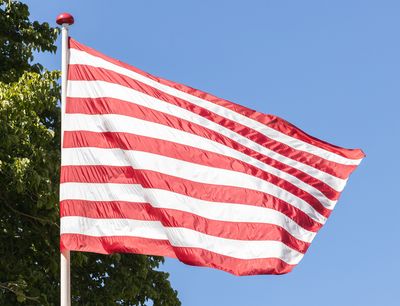 Billede: Henrik Plenge Jakobsen, Stripes and Stripes, 2019. Foto: Mikkel Kaldal.
