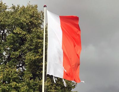 Billede: Bodil Nielsen, Festlig teglrød, 2017.