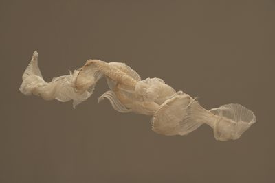 Billede: Ursula Nistrup, Tzeela, 2019. Foto: David Stjernholm. Venligst stillet til rådighed af kunstneren.