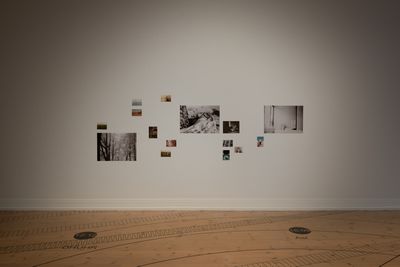 Aysha Amin, Making Sense, Kunsthal Aarhus, 2026. Foto: Jacob Friis-Holm Nielsen.