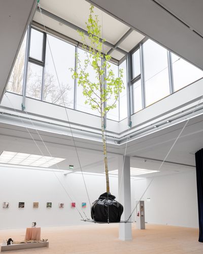 Stine Rosdahl-Petersen, Dansende måge/Moden jernskjorte. Foto: Mikkel Kaldal