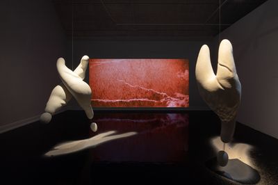 Helene Nymann, ‘Ode to Creode, Ode to Creode X og Ode to Creode Y’, 2022. Medium: video og skulptur installation, 'Museum for fremtiden'. Foto: Mikkel Kaldal.