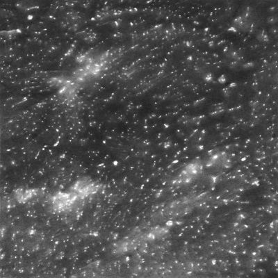 Kang Dongju, 'Night Walks #1', 2021. Pencil on paper. Courtesy of the artist.