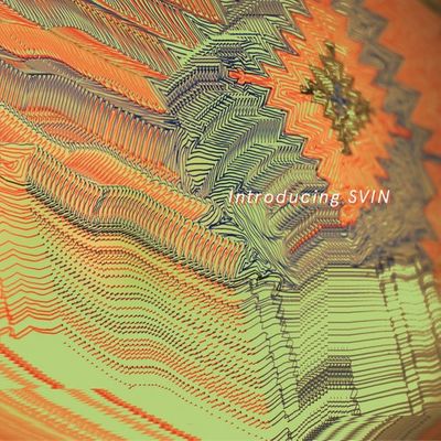 “Introducing SVIN”, 2022, Album Artwork: Ana Vujovic.
