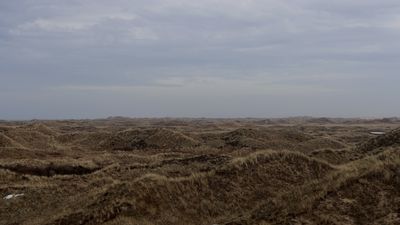 Billede: "RAABJERG", Rune Peitersen, 2022, Courtesy af Kunstneren.